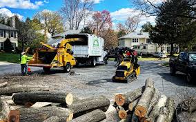 Best Tree Trimming and Pruning  in Jenkintown, PA