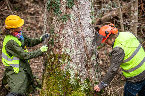 Best Tree Preservation Services  in Jenkintown, PA