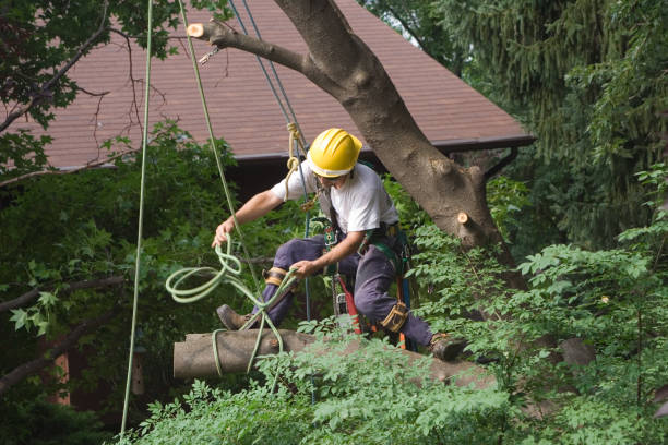 Mulching Services in Jenkintown, PA